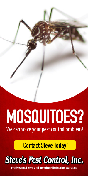 steves mosquitoes
