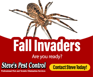 Fall Invaders: Are you ready? Contact Steve's Pest Control Today