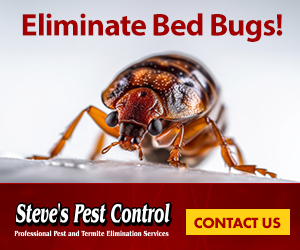 Eliminate Bed Bugs Contact Steve's Pest Control