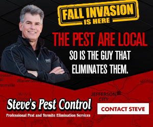The Fall Invasion is Here The pests are local. So is the guy that eliminates them. Contact Steve at Steve's Pest Control, Professional Pest and Termite Elimination Services