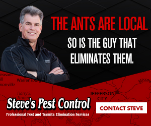 The ants are local. So is the guy that eliminates them. Contact Steve Steve's Pest Control