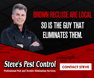 Brown Recluse are local So is the guy that eliminates them. Steve's Pest Control: Professional Pest and Termite Elimination Services. Contact Steve.