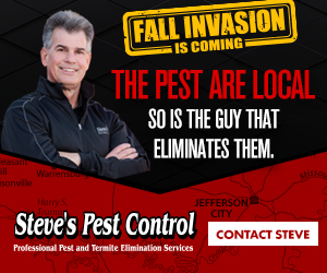 The Fall Invasion is coming. The pests are local. So is the guy that eliminates them. Steve's Pest Control: Professional Pest and Termite Elimination Services. Contact Steve.